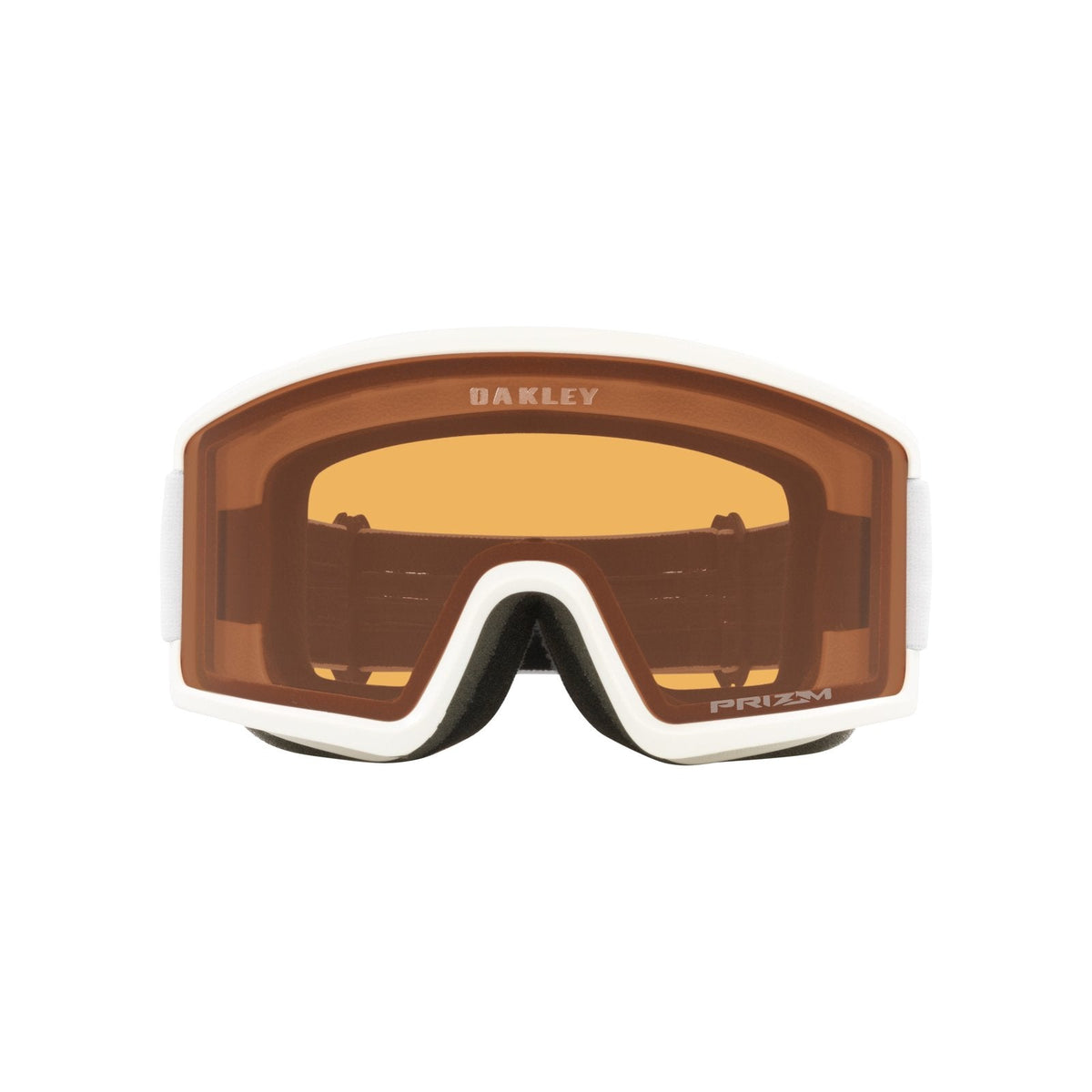 Target Line L Snow Goggle