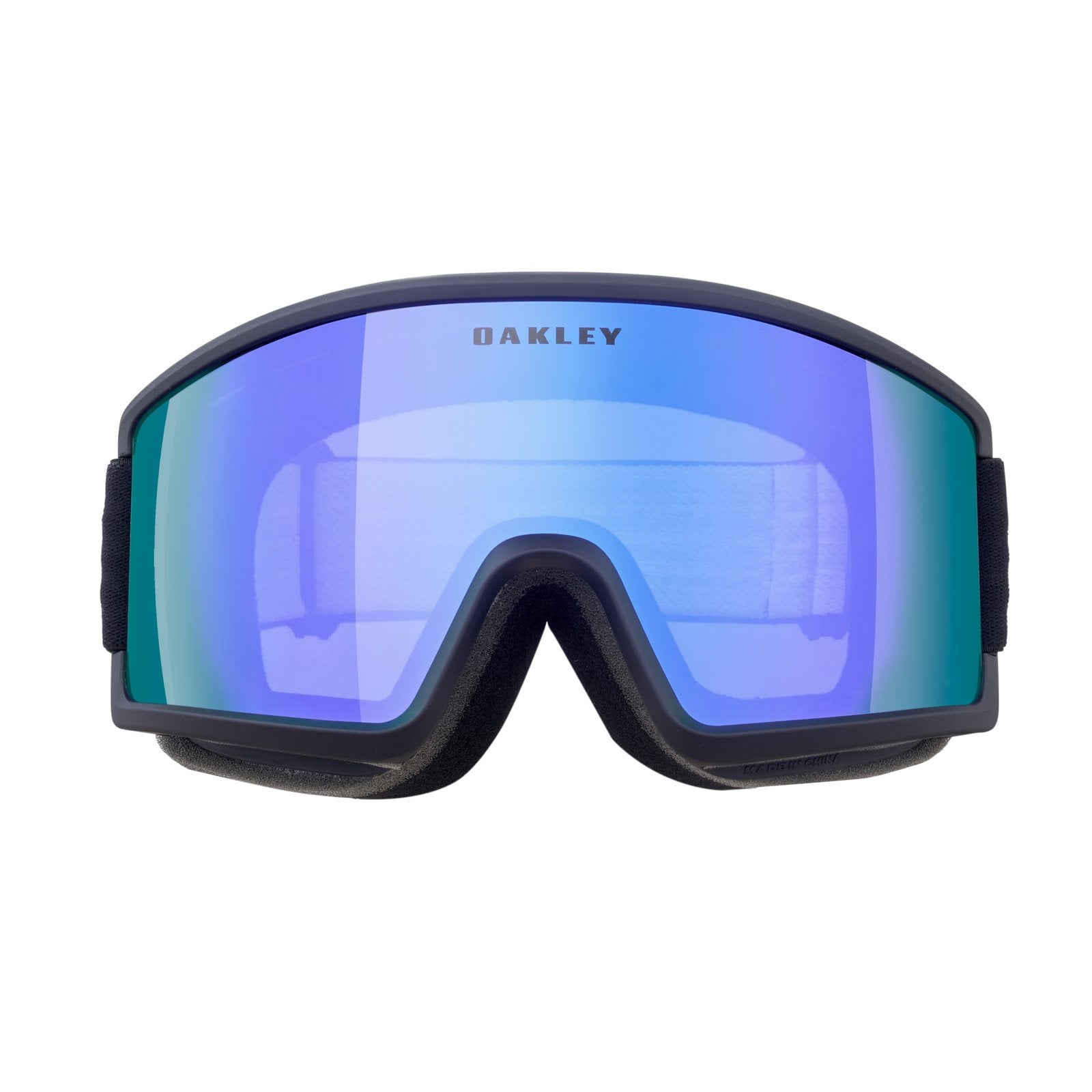 Target Line M Snow Goggle