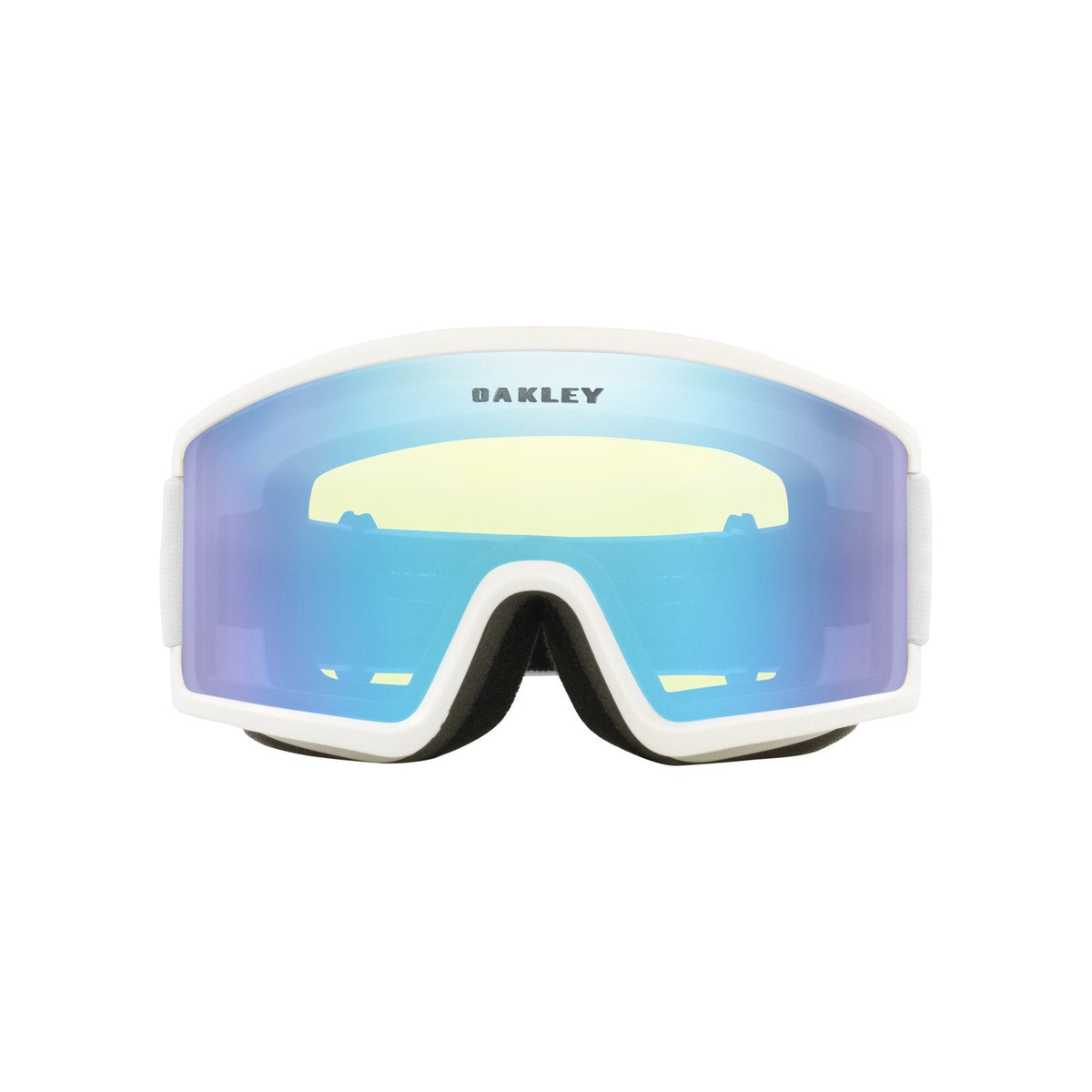 Target Line M Snow Goggle