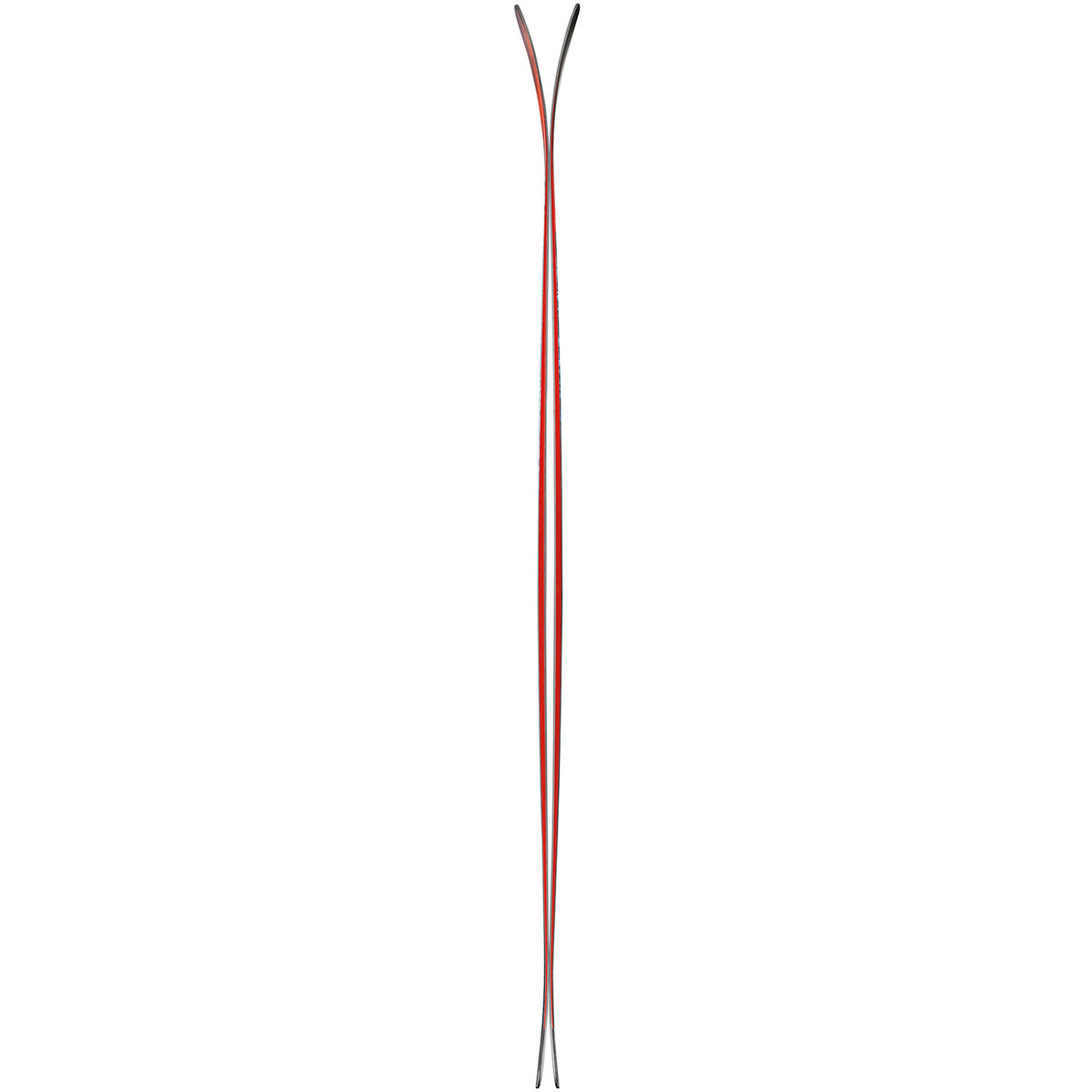 Enforcer 100 Ski 2024