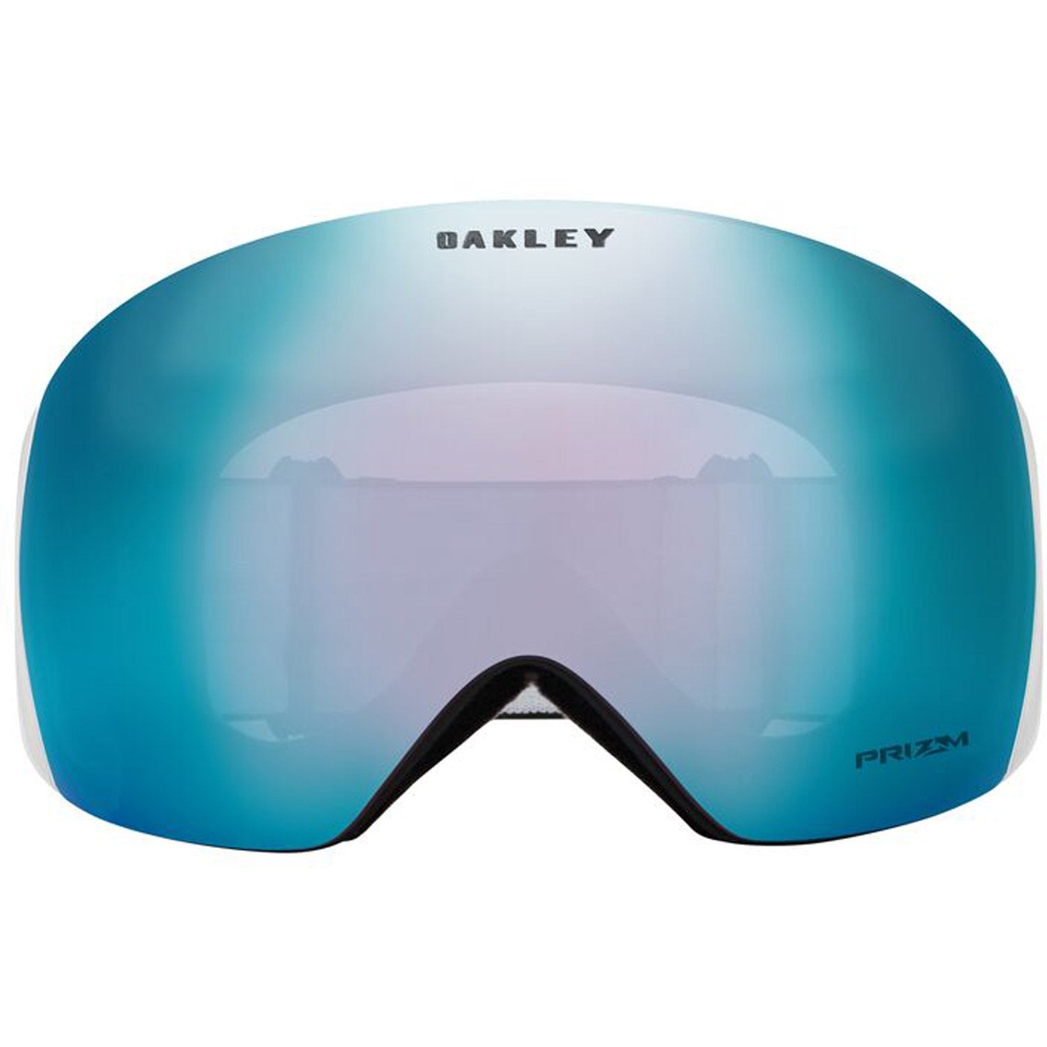 Flight Deck L Snow Goggle 2022