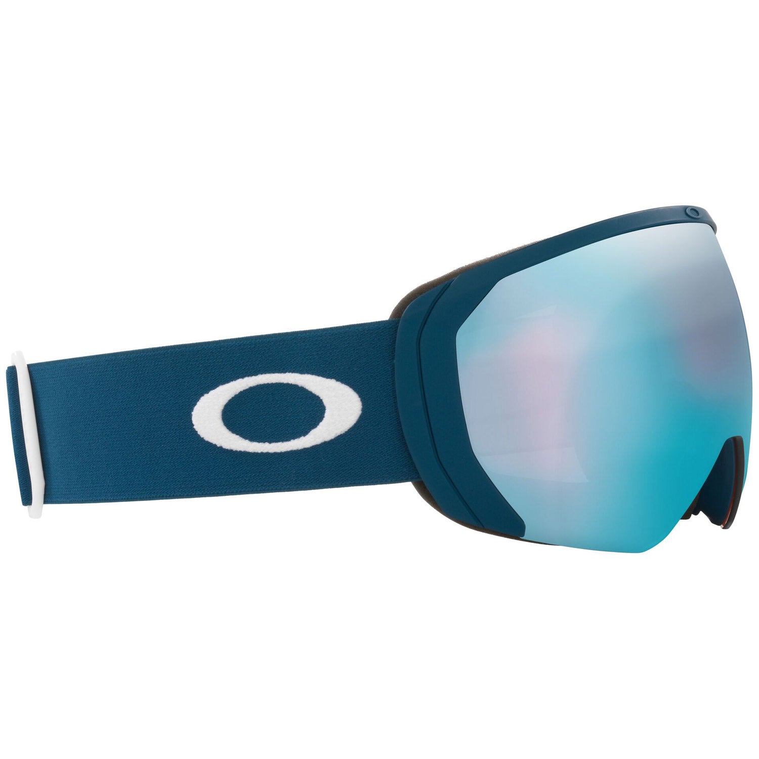 Flight Path L Snow Goggle 2022