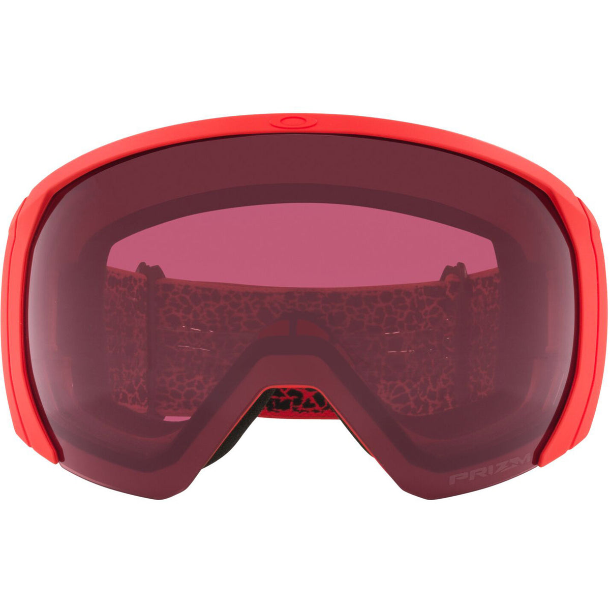 Flight Path L Snow Goggle 2022