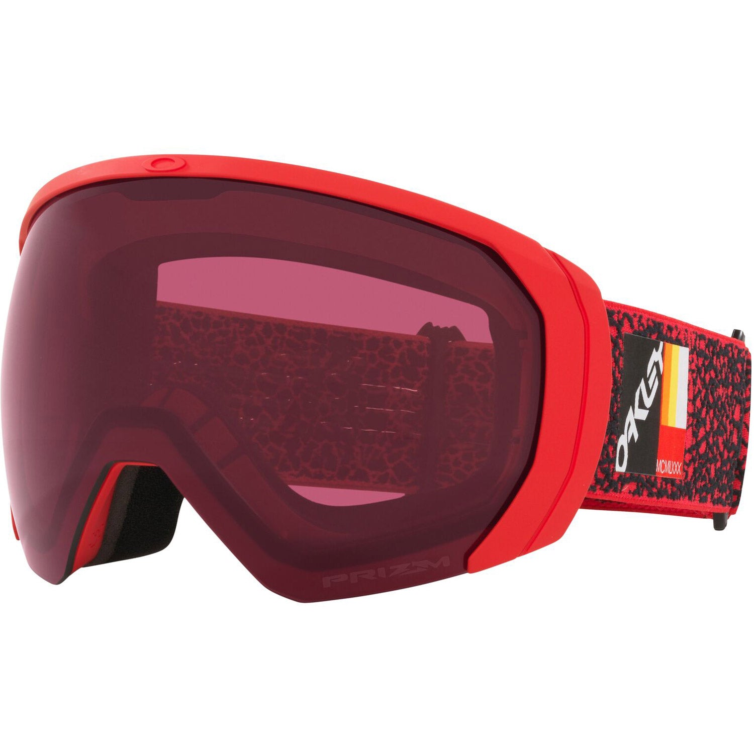 Flight Path L Snow Goggle 2022