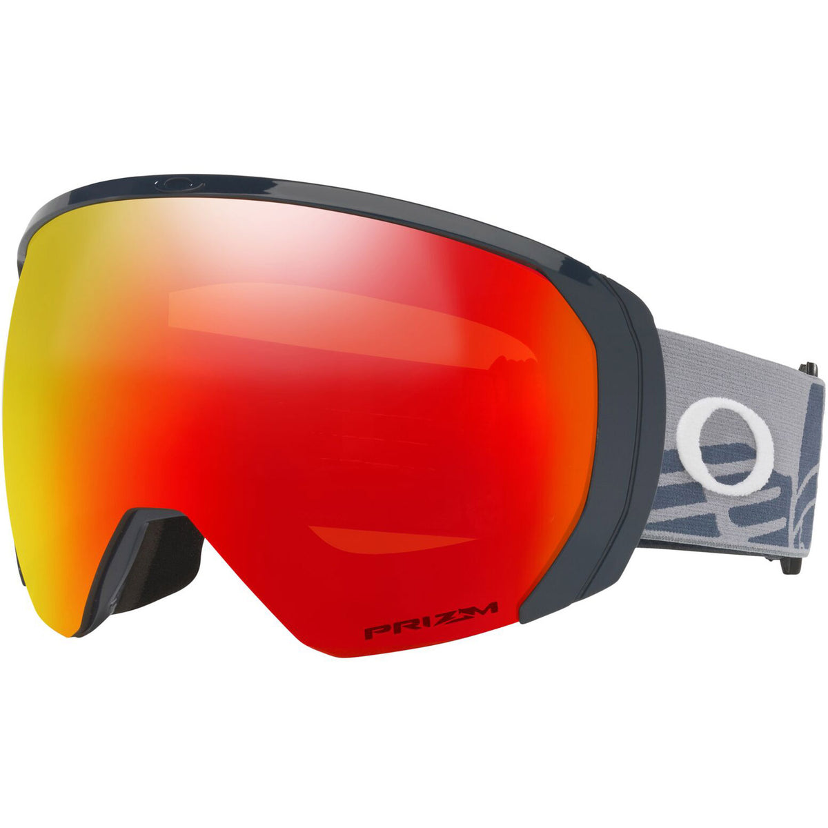 Flight Path L Snow Goggle 2022