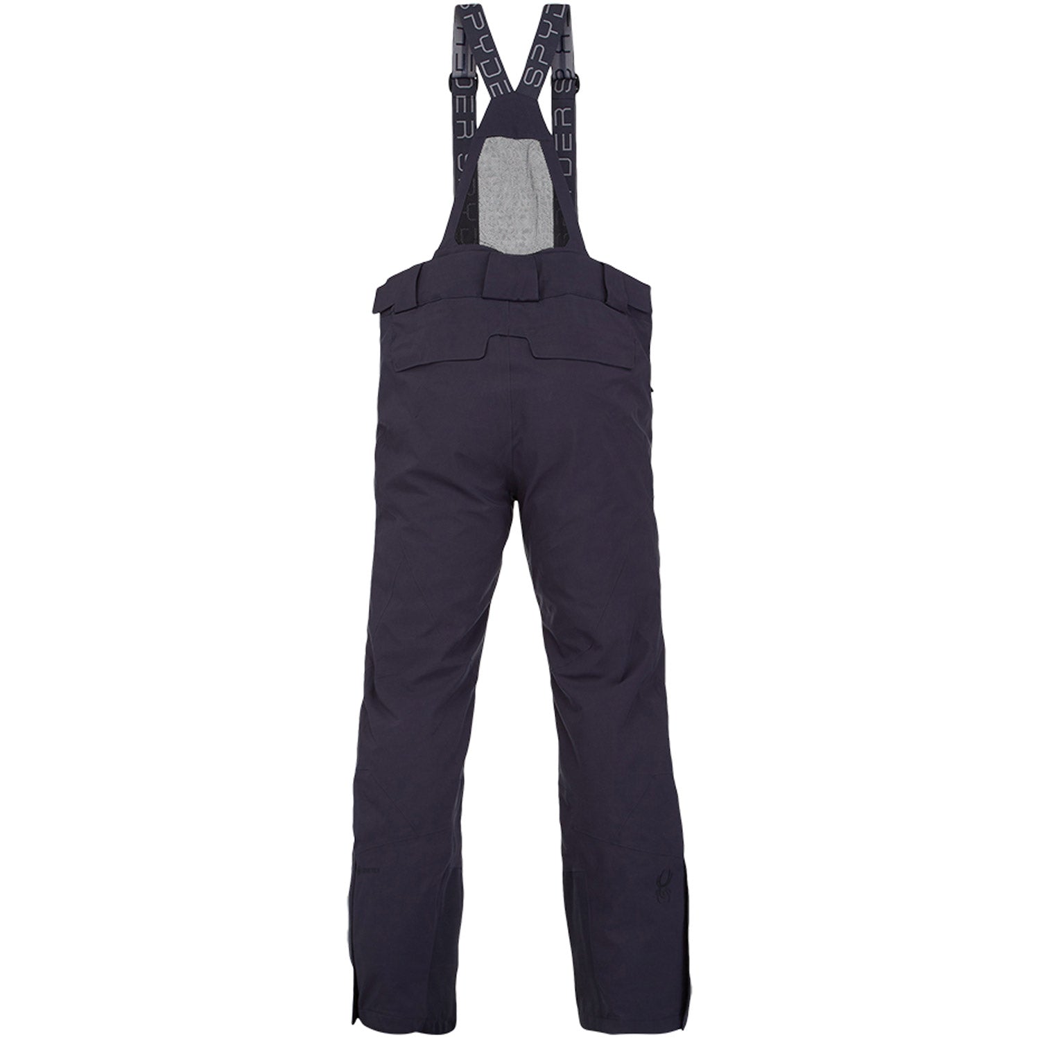 Dare GTX Ski Pant 2022