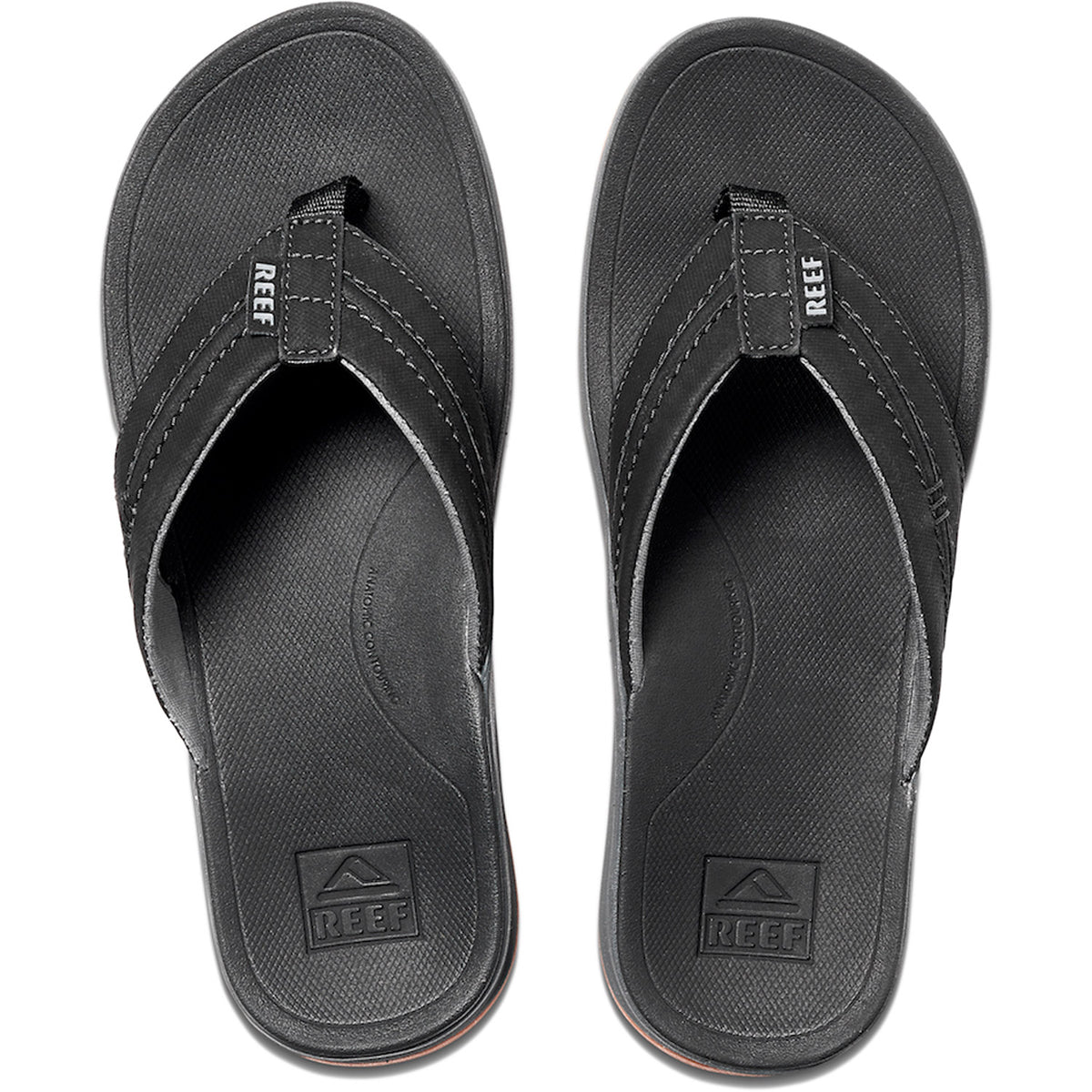 Ortho - Coast Thongs
