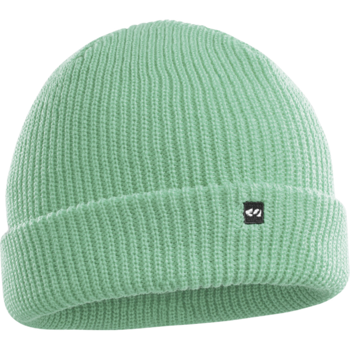 Thirtytwo Basixx Beanie 2021 Mint