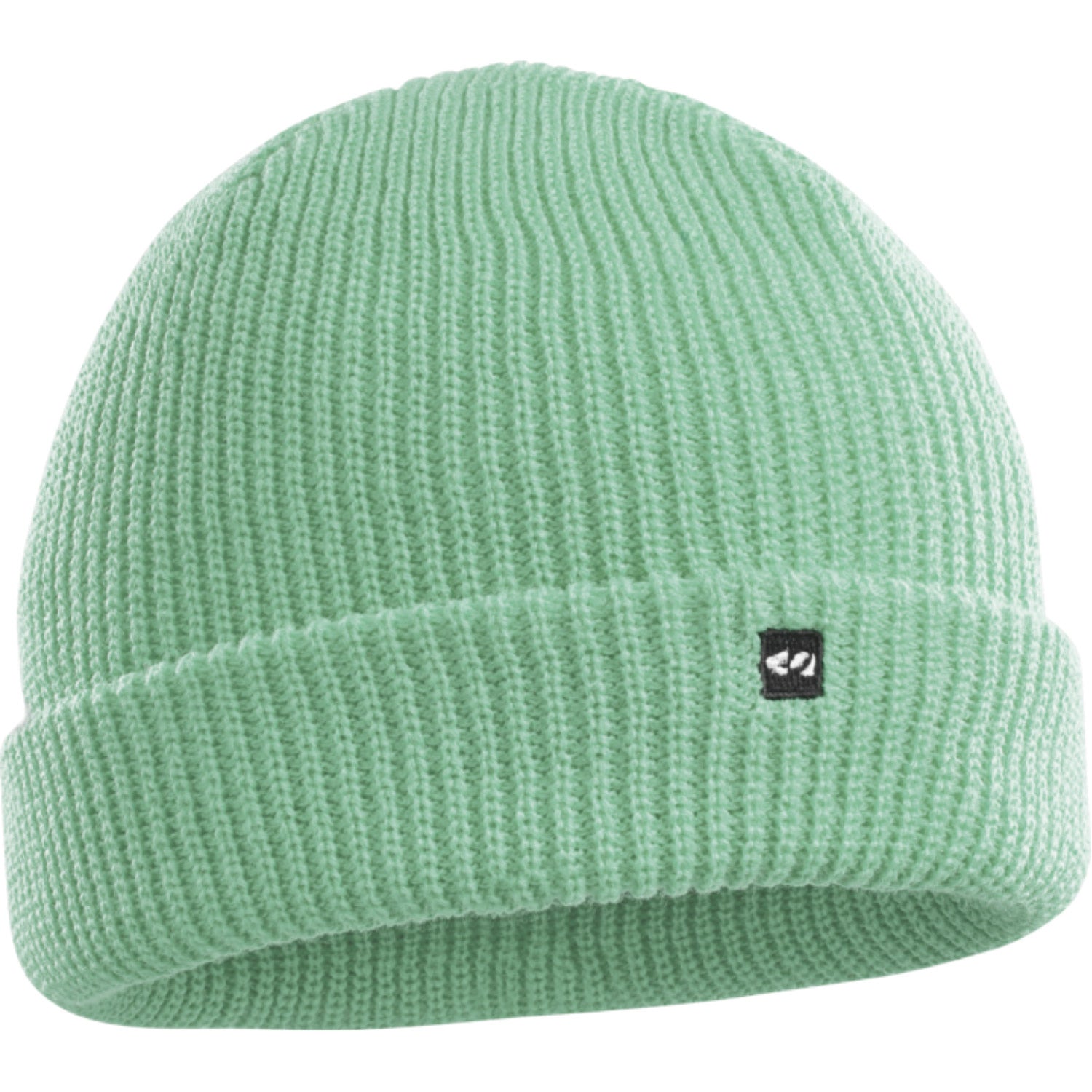 Thirtytwo Basixx Beanie 2021 Mint
