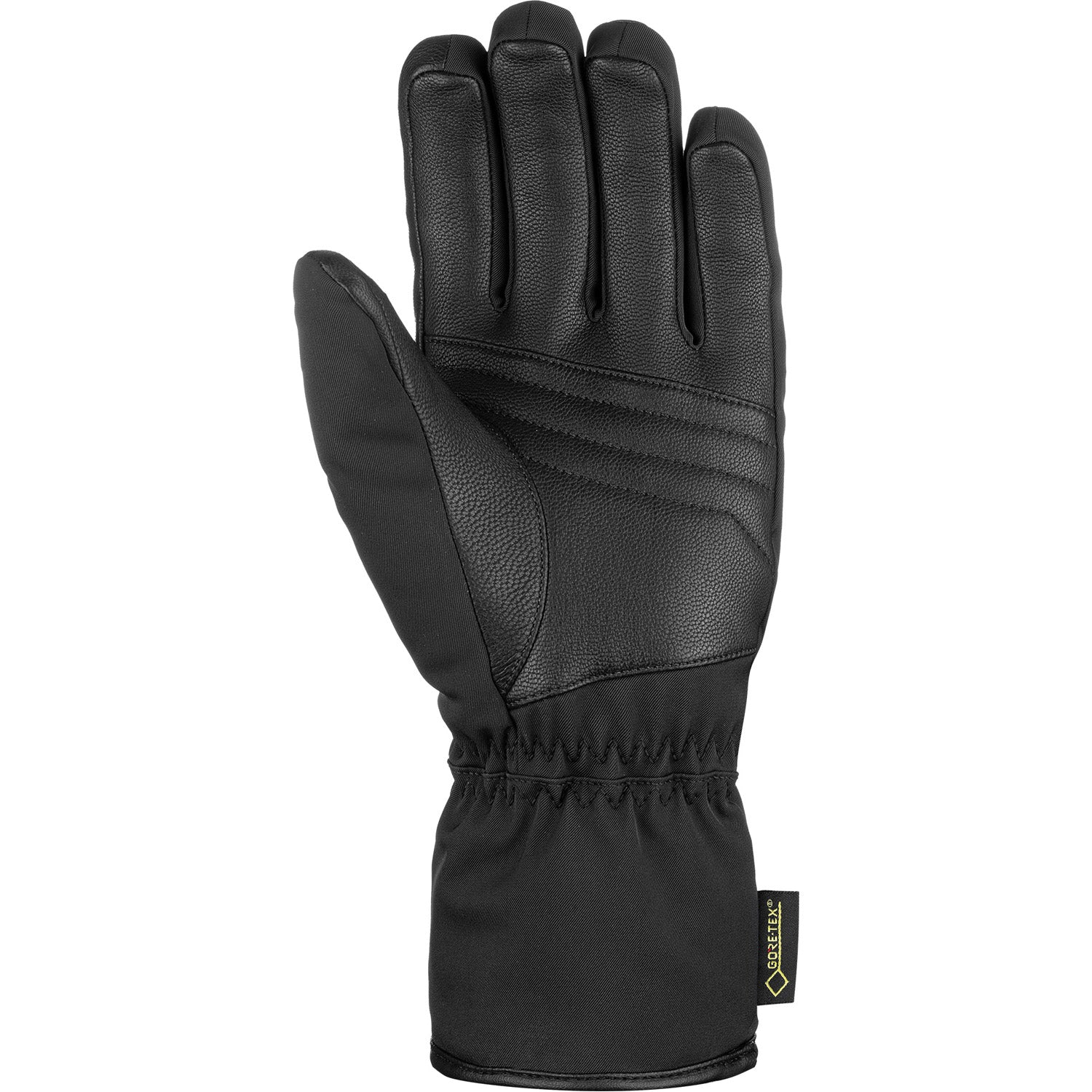 Icarus Gore-Tex Mens Ski Glove