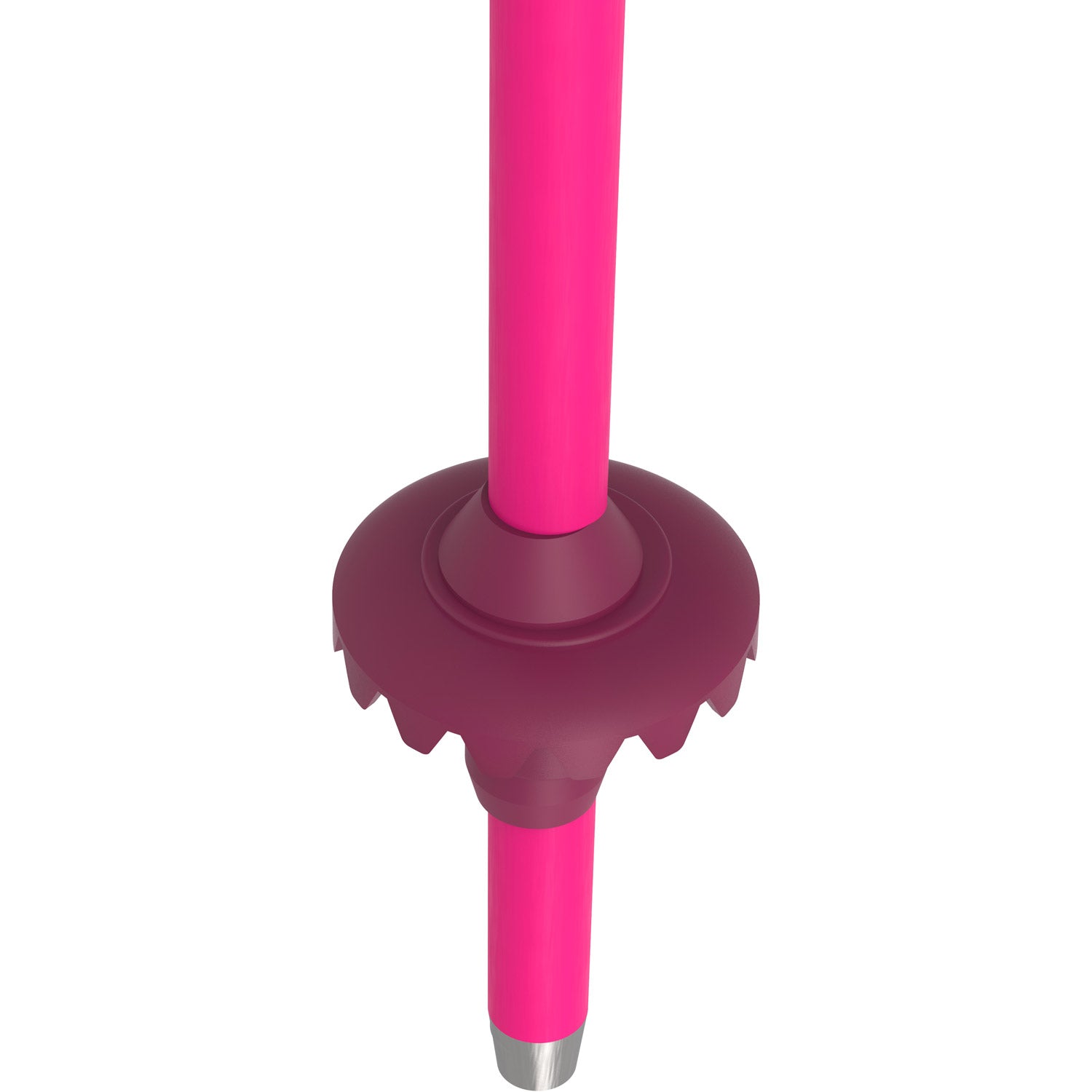 AMT Jr Ski Poles