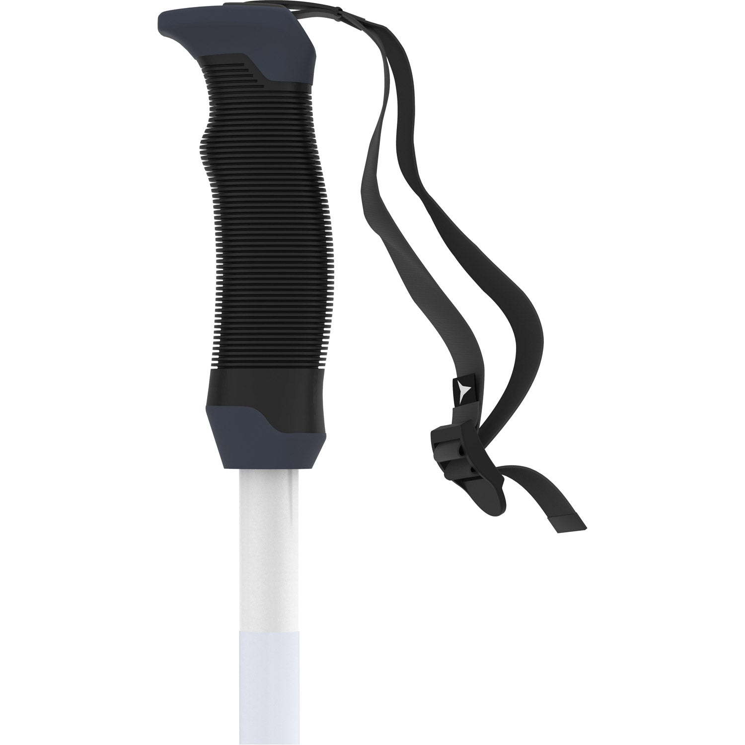 AMT SQS W Ski Poles