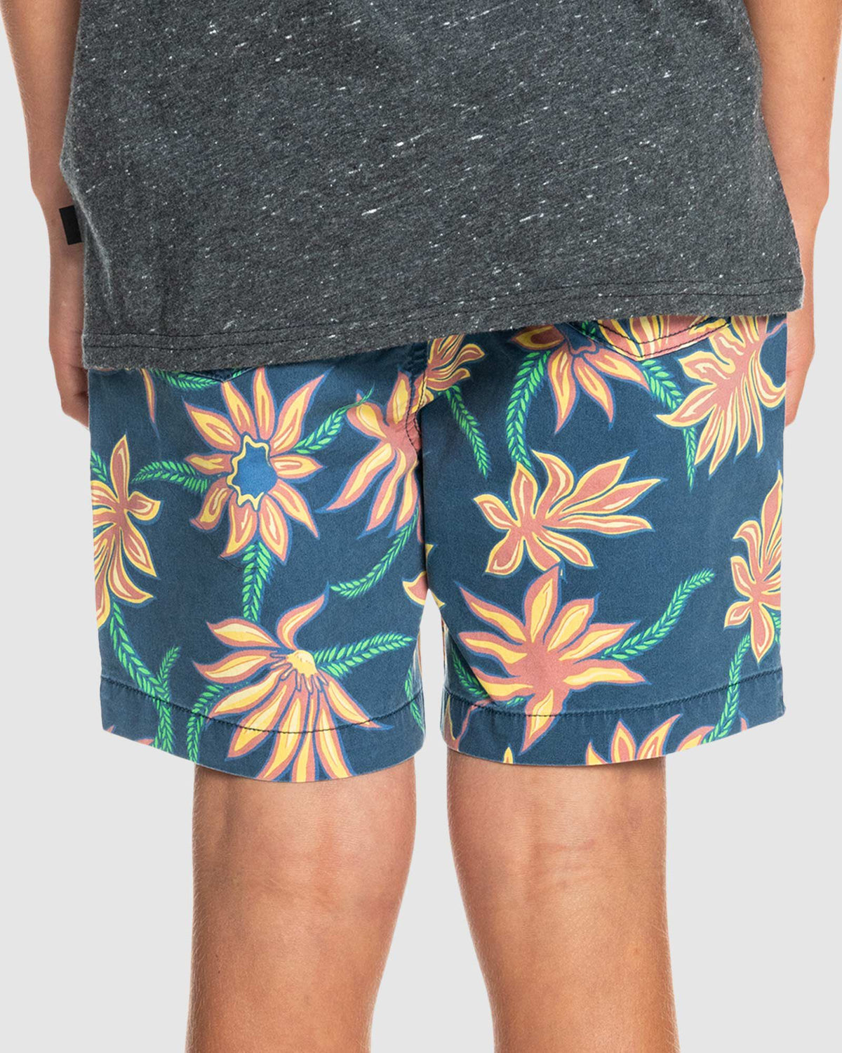 Boys 8-16 Taxer Elasticated Shorts