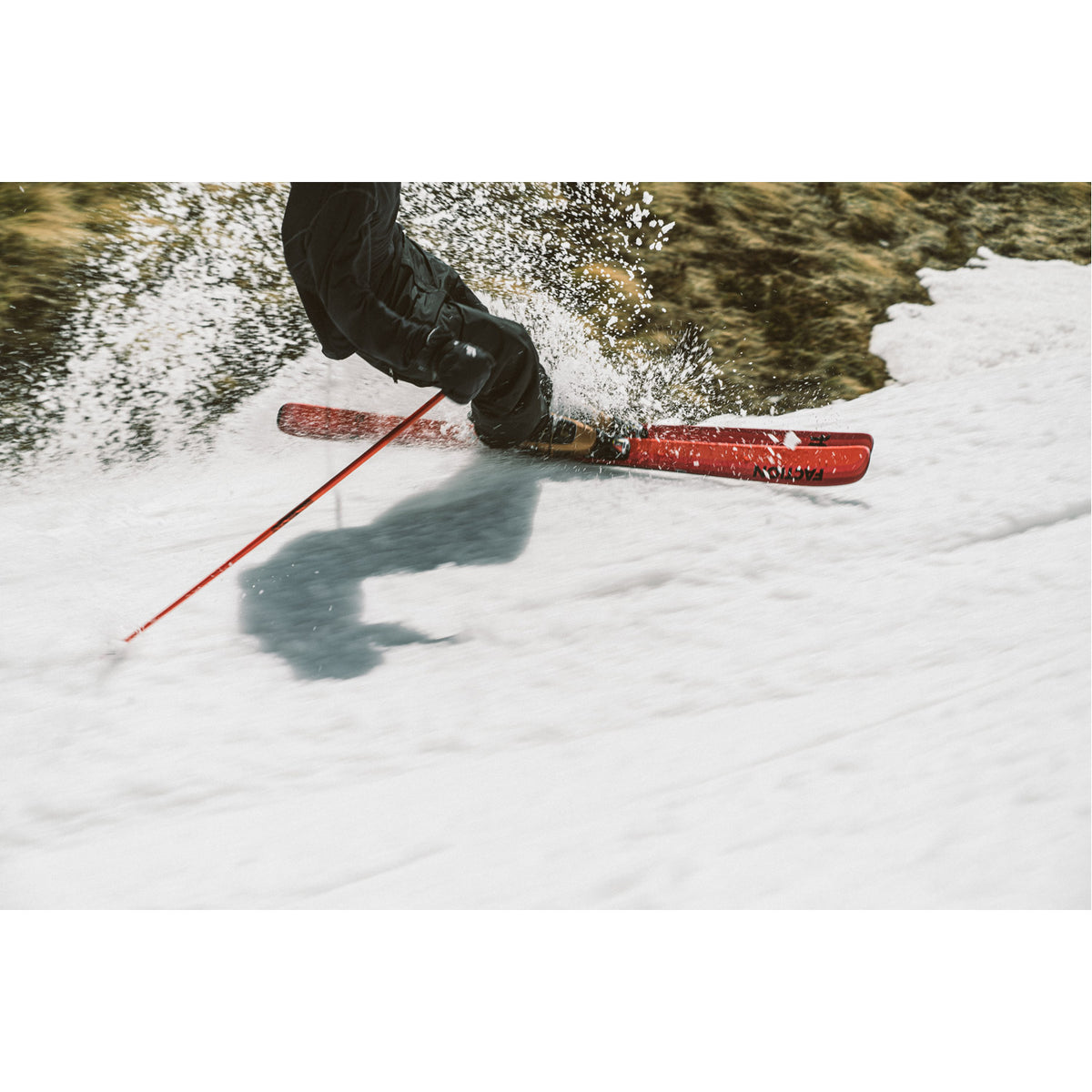 Dancer 1 Skis 2024