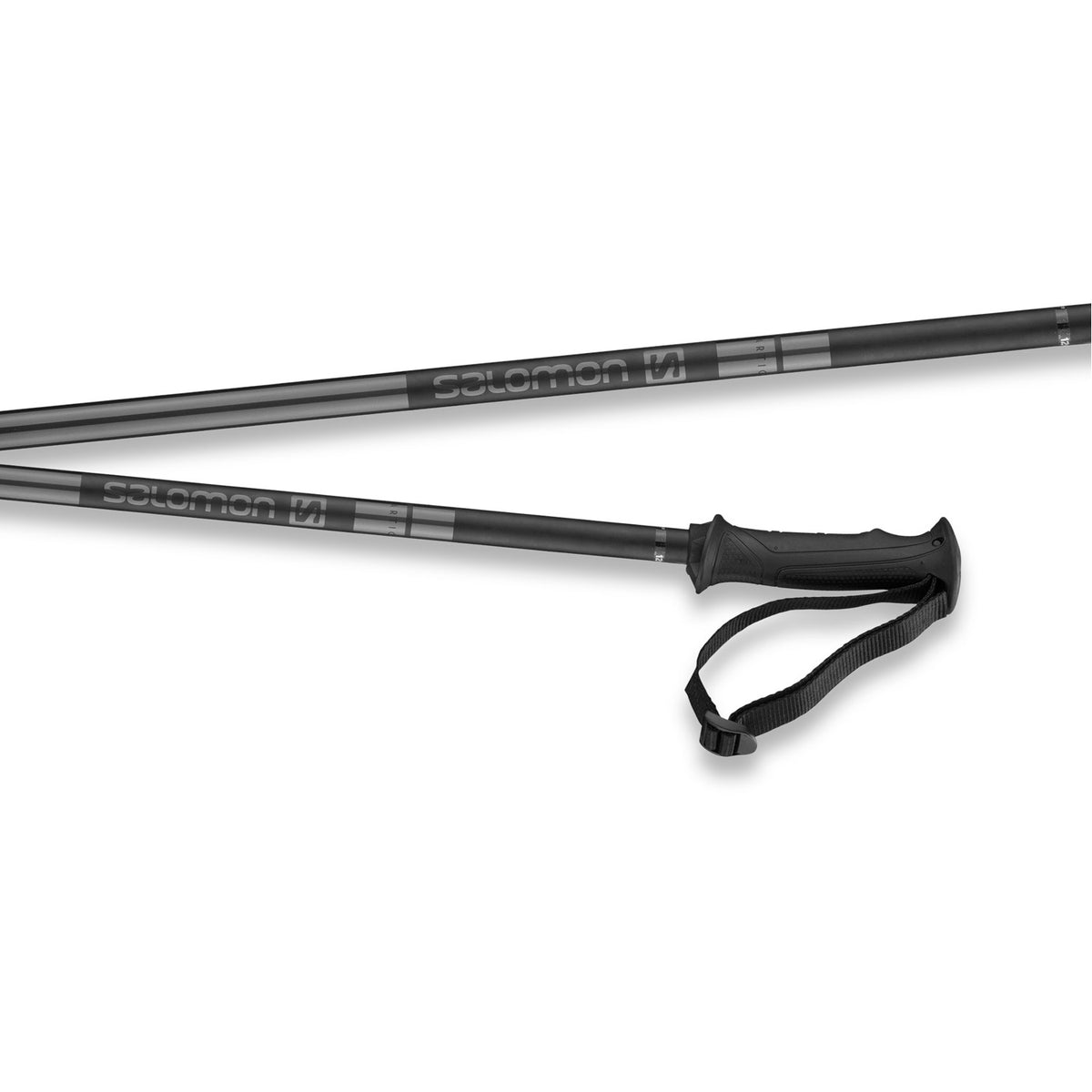 Arctic Ski Poles