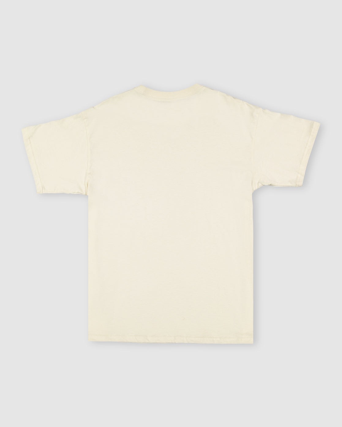 Billabong Premium Wave Wash T-Shirt BONE