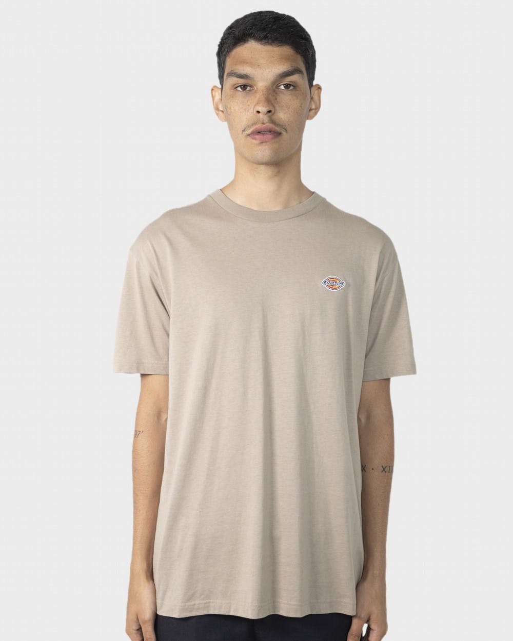 Dickies H.S Rockwood Classic Fit Tee Khaki