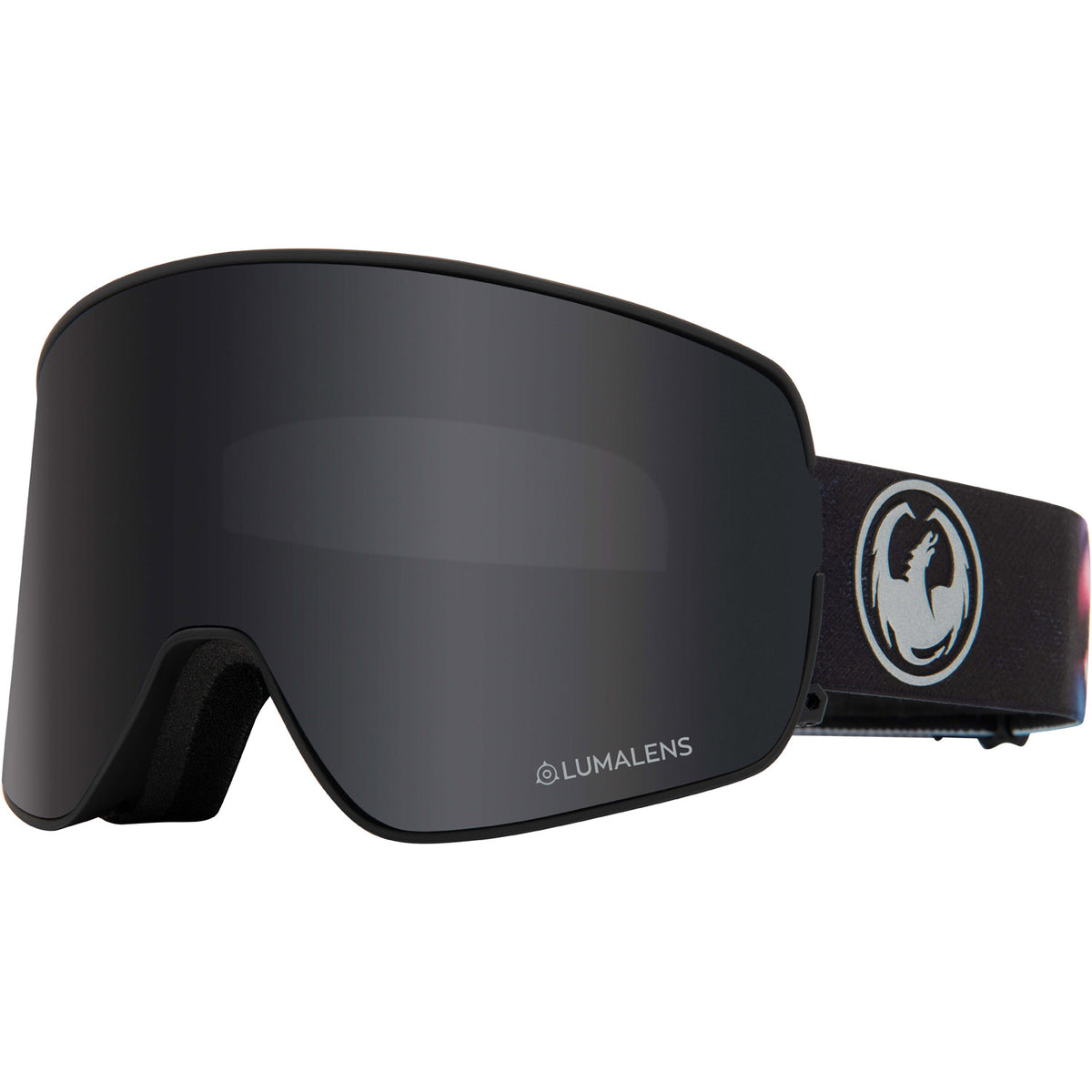 NFX2 Snow Goggle 2020