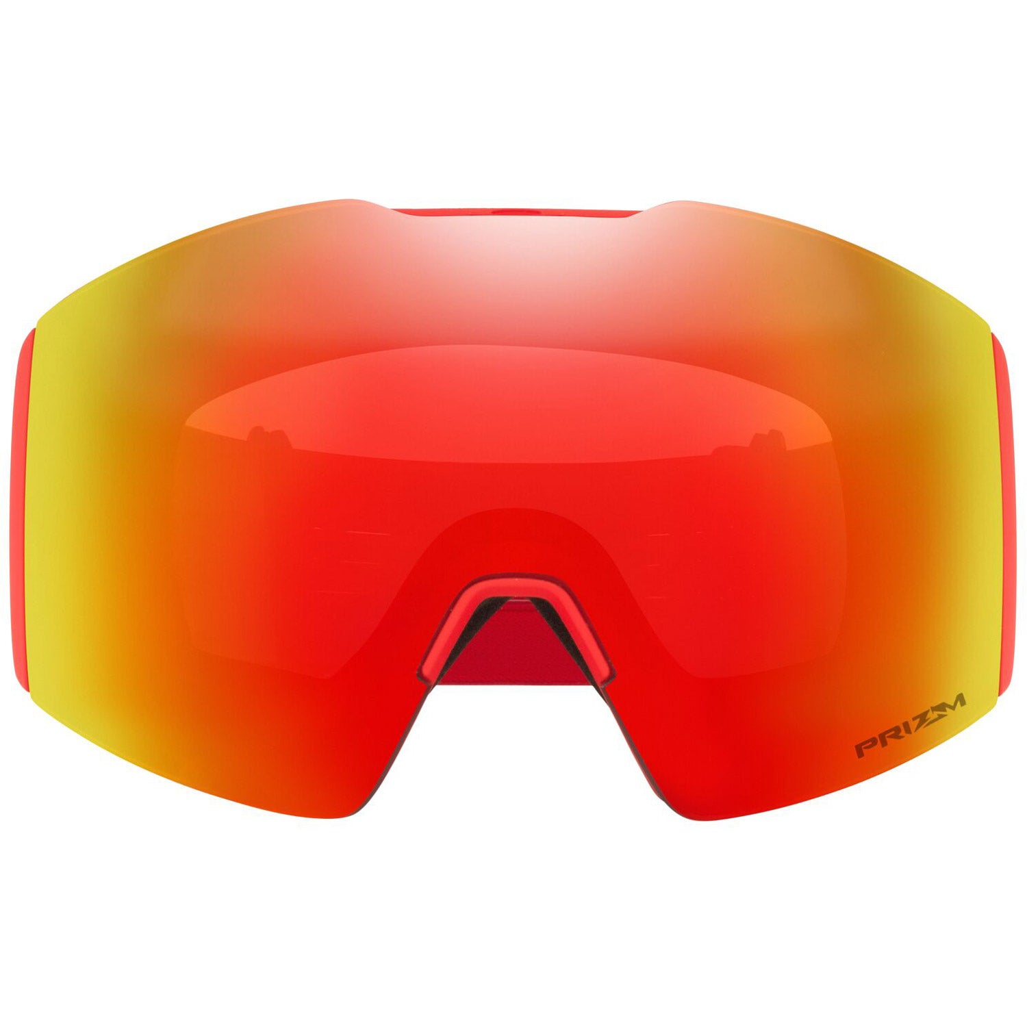 Fall Line L Goggle 2022