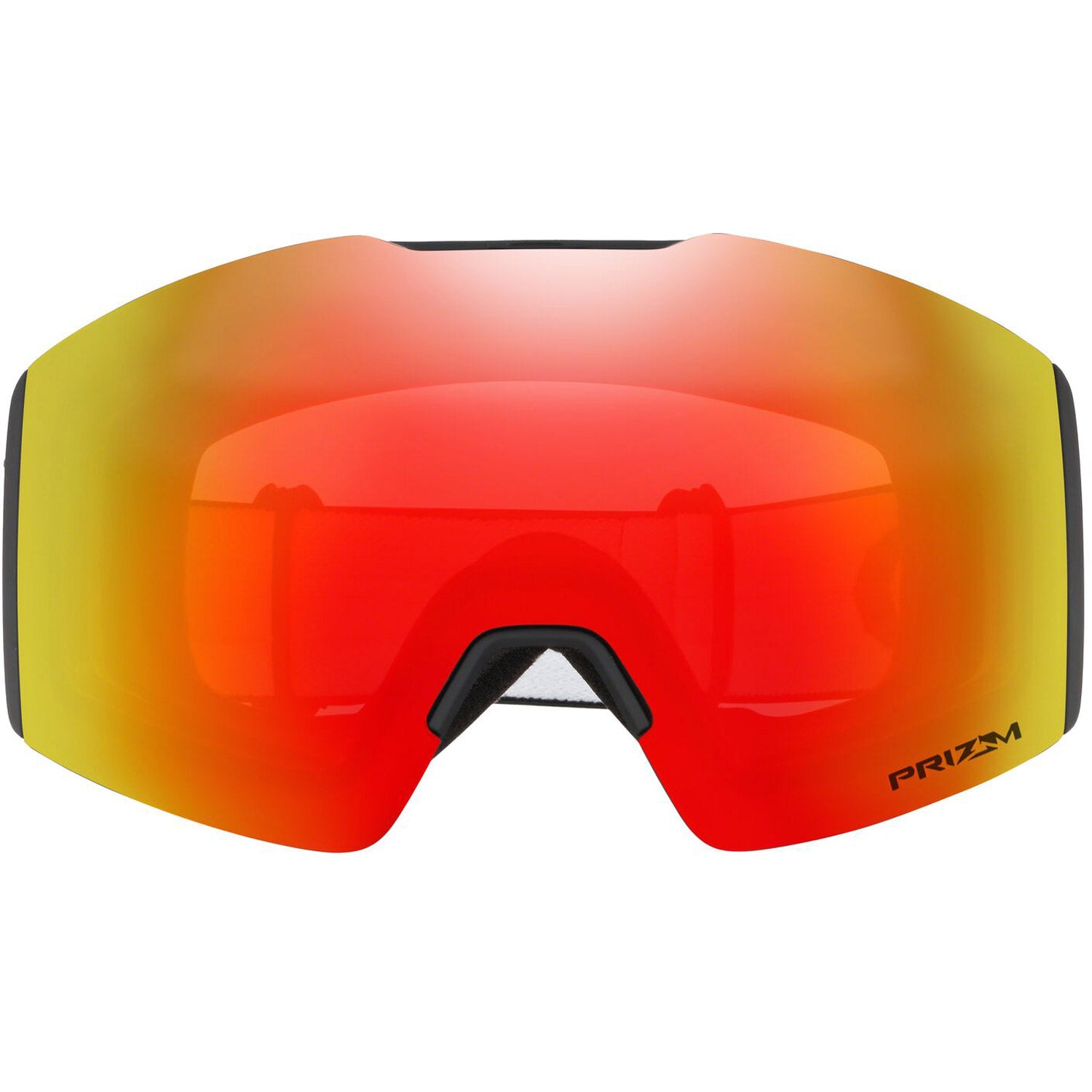 Fall Line M Goggle 2022