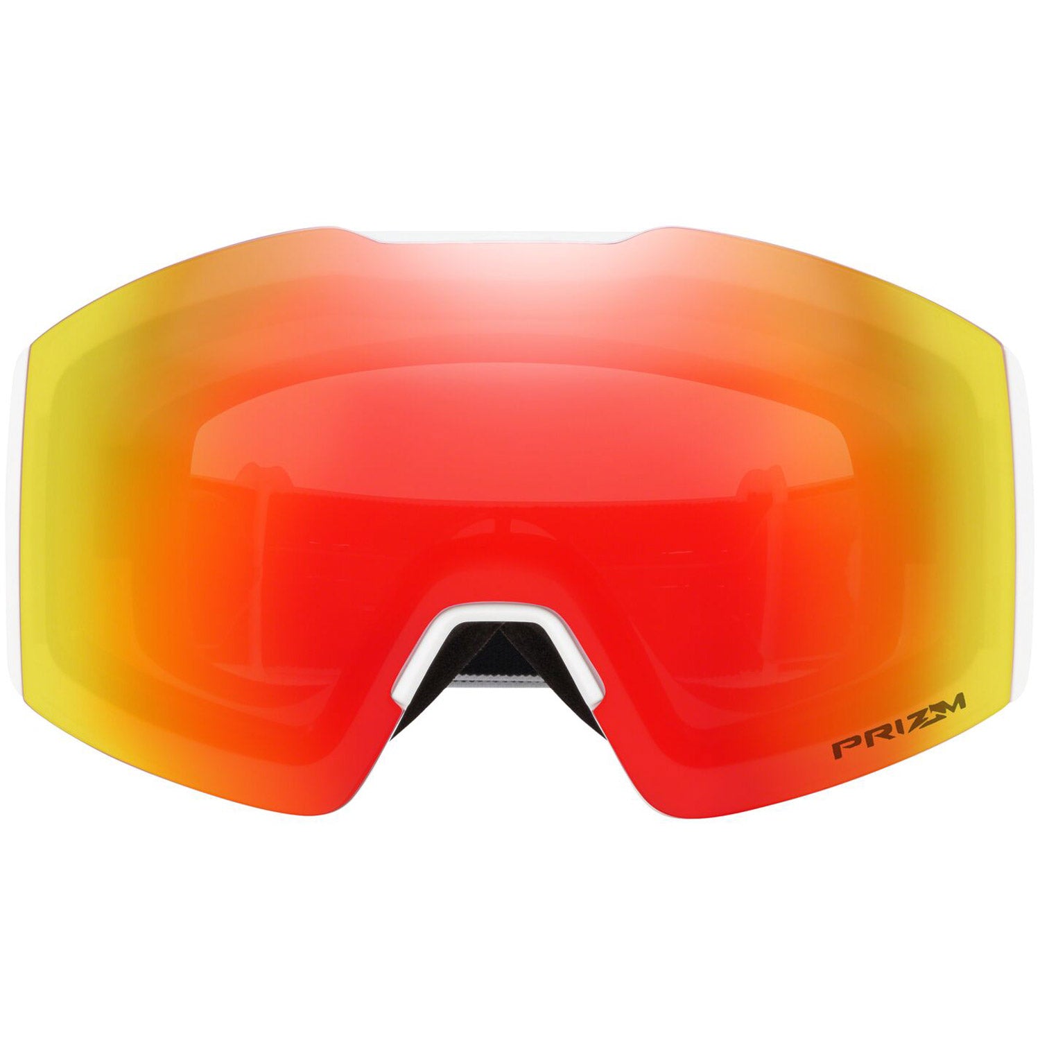 Fall Line M Goggle 2022