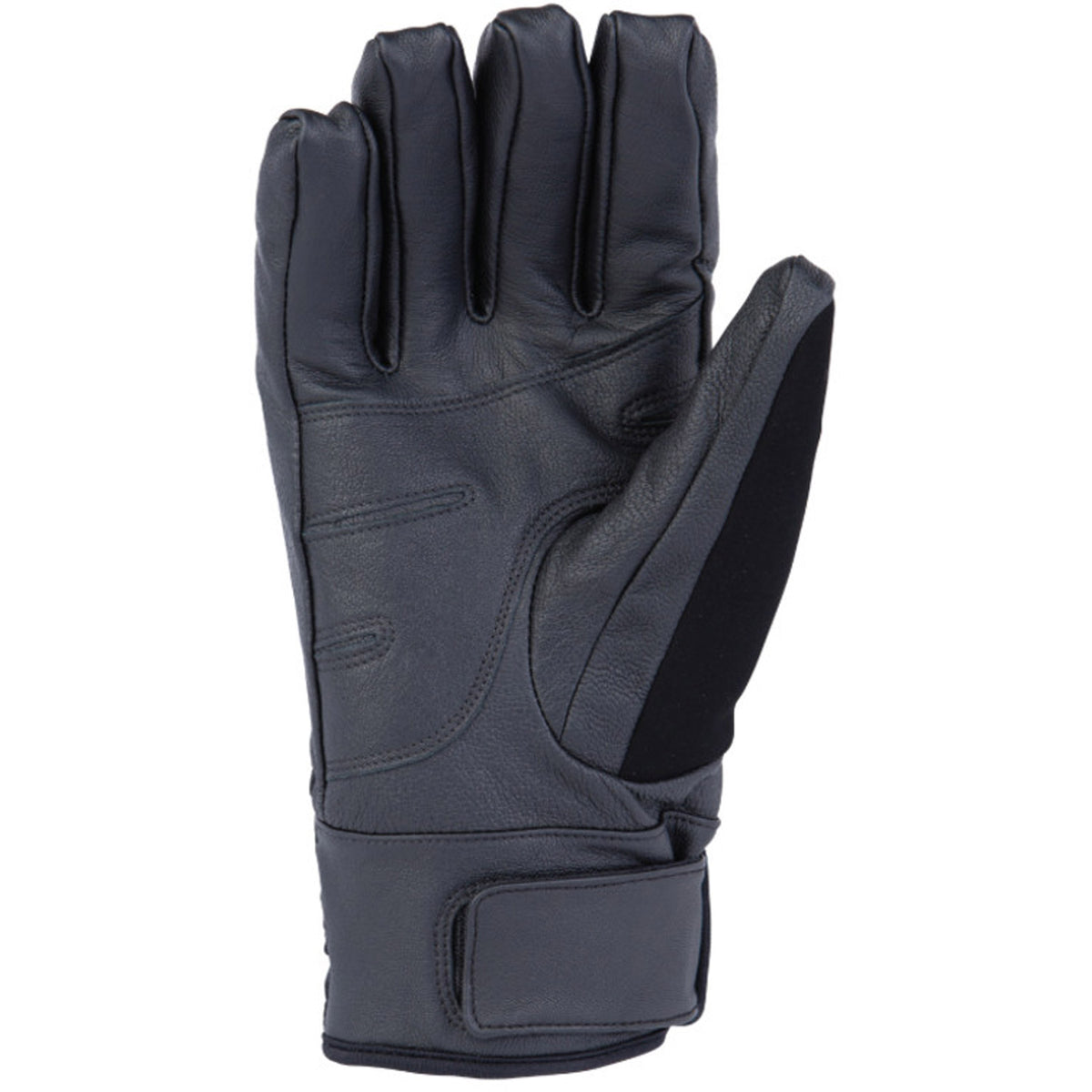 Royal GTX Mens Snowboard Glove