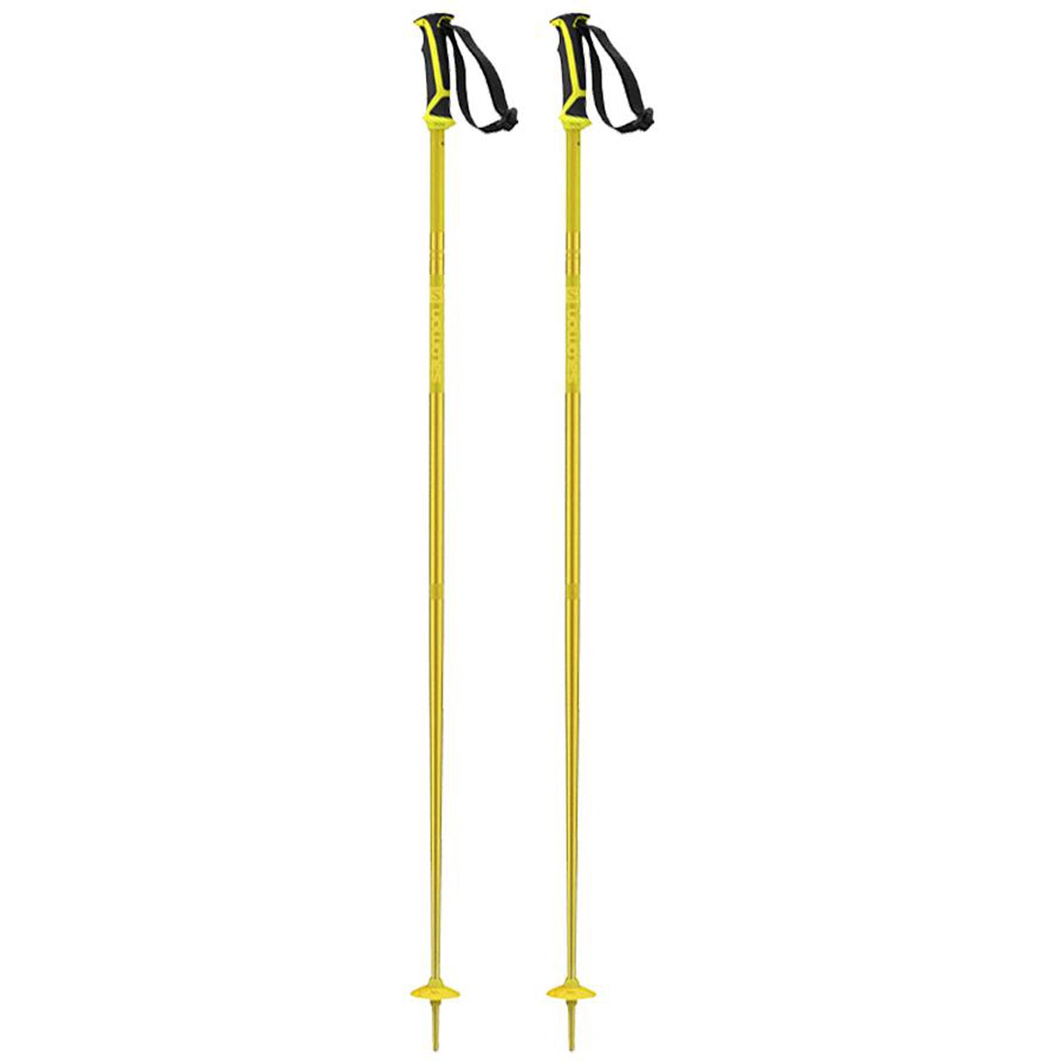 Arctic Ski Poles 2021