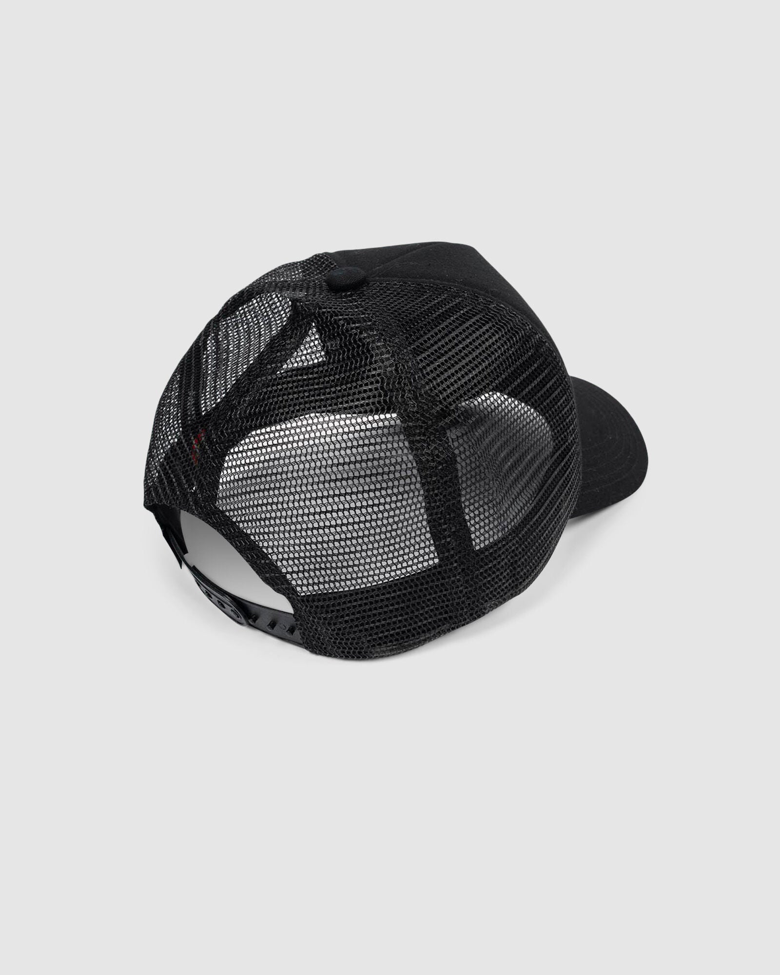 Santa Cruz Original Dot Trucker 