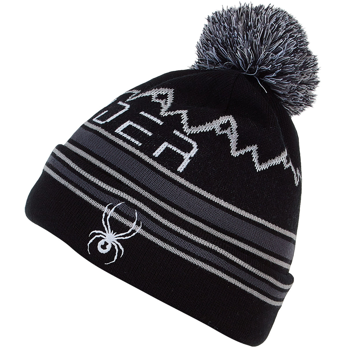 Spyder Icebox Boys Beanie 2021