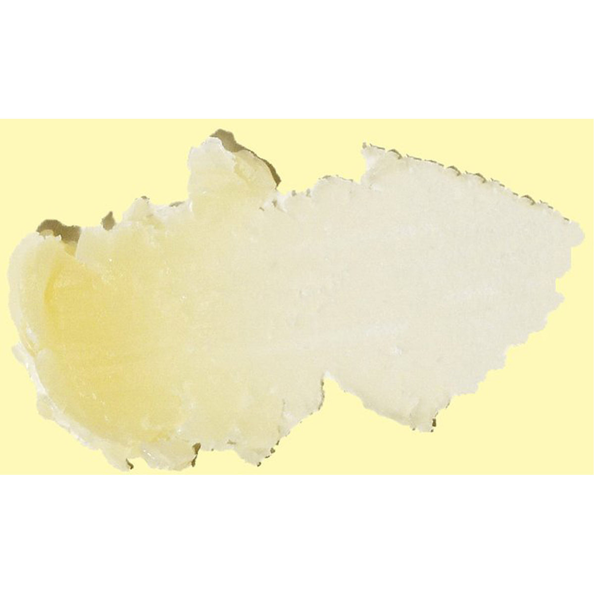 CocoBalm Lip Balm - Ocean Mint