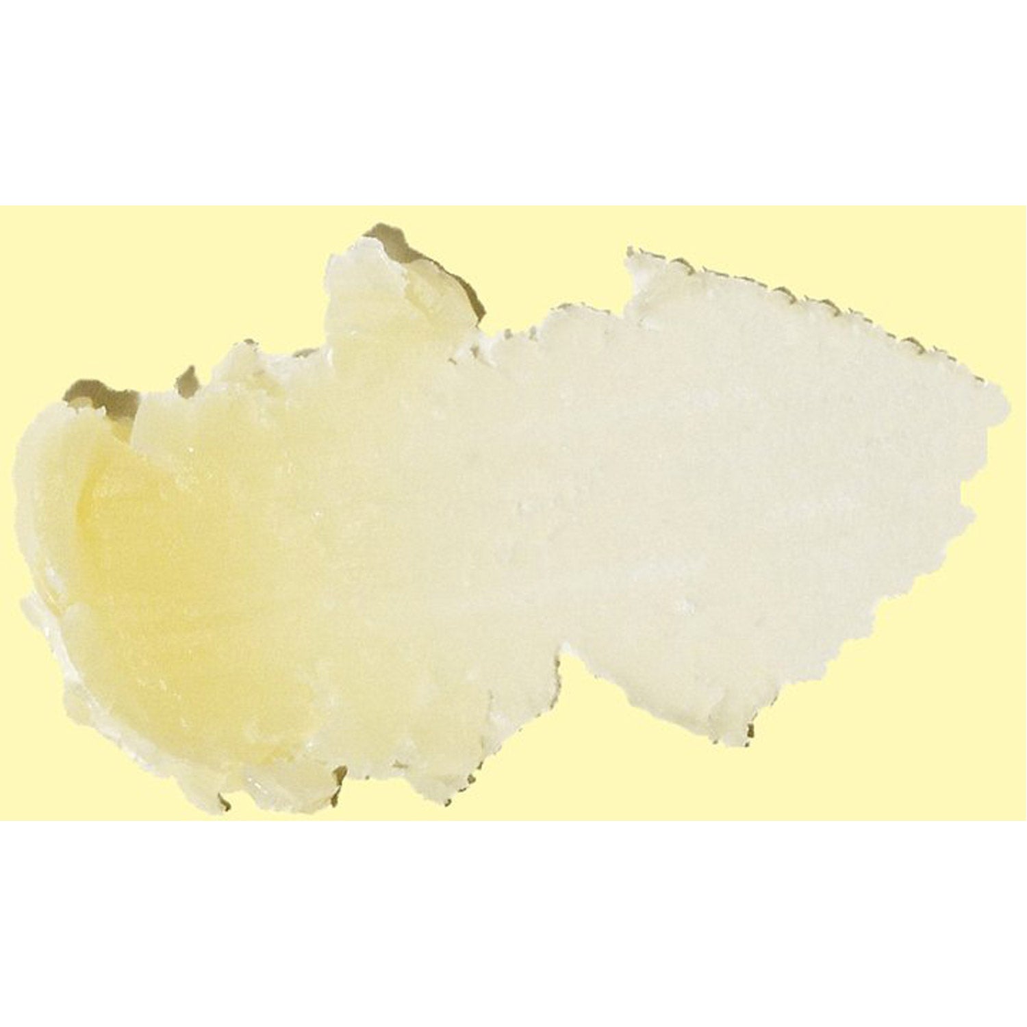CocoBalm Lip Balm - Ocean Mint