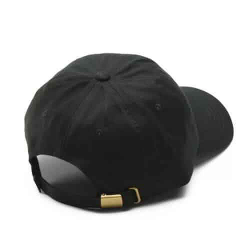 Vans Camburn Curved Bill  Black